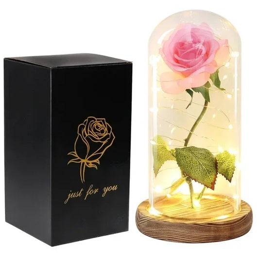 Rose Eternelle Rose sous cloche